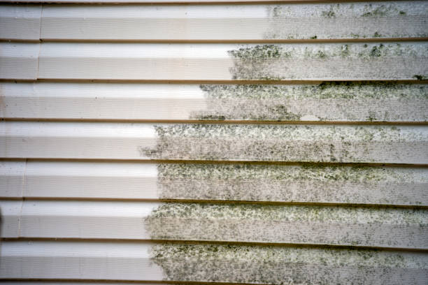 Best Storm Damage Siding Repair  in Silver Ridge, NJ