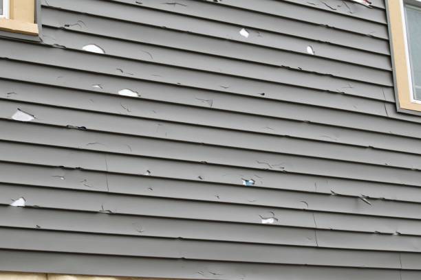 Best Stucco Siding  in Silver Ridge, NJ