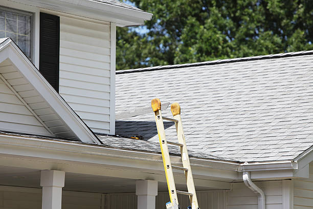 Best Steel Siding Installation  in Silver Ridge, NJ