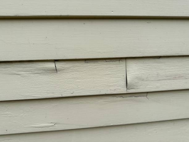 Best Weatherproofing and Sealing  in Silver Ridge, NJ